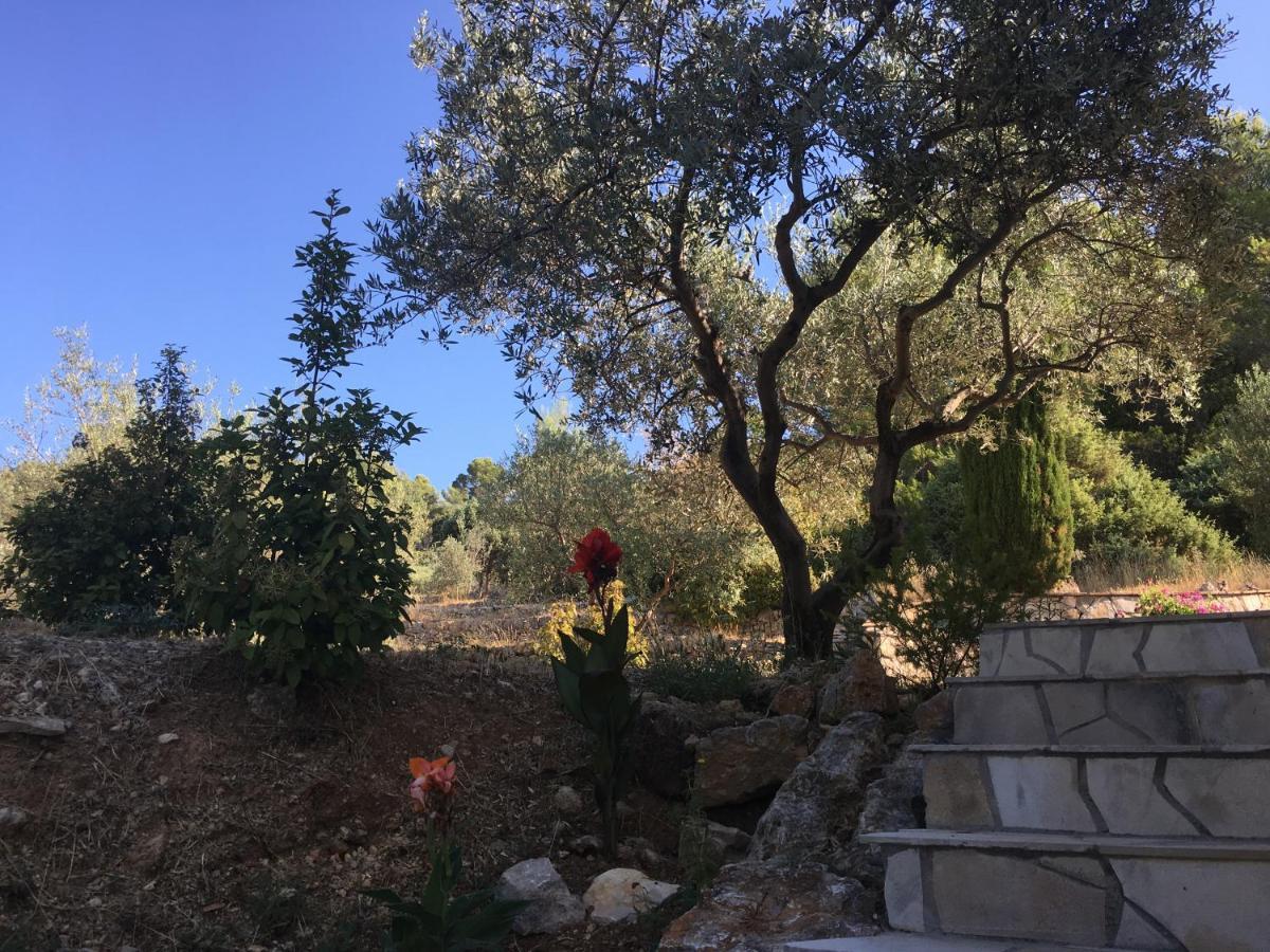 Le Clos En Provence Flayosc Buitenkant foto