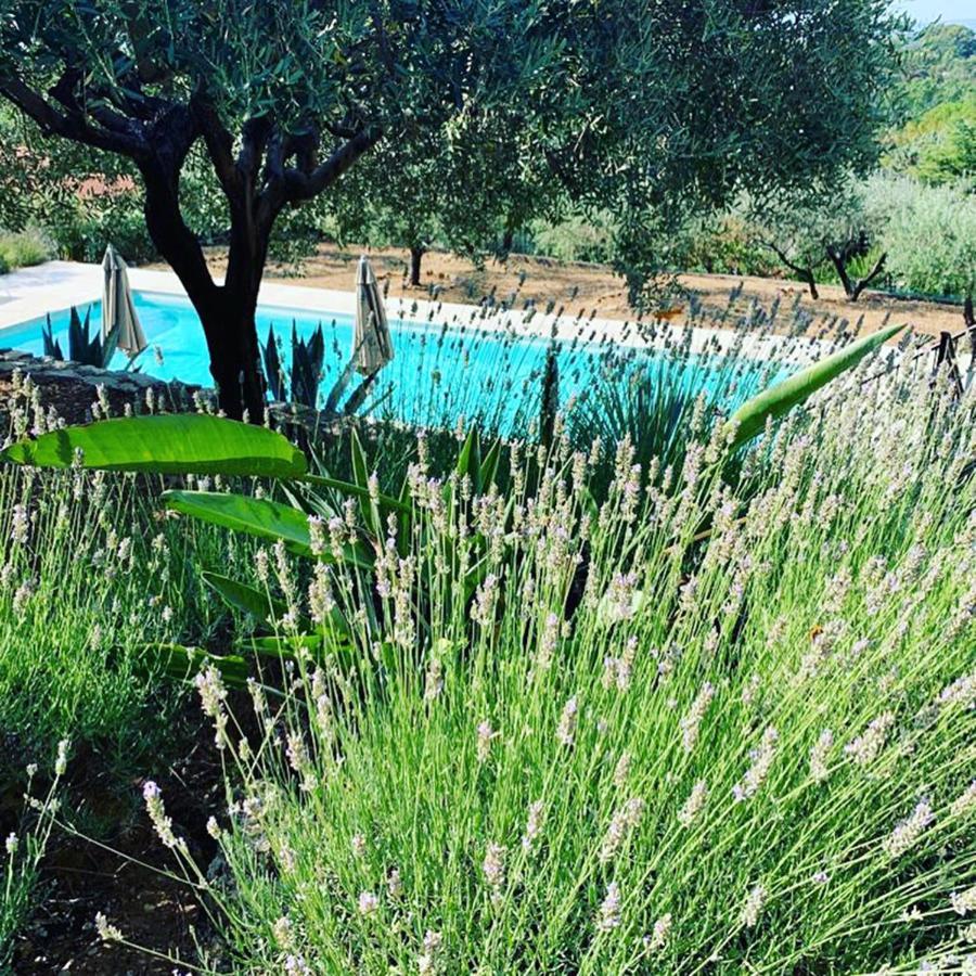 Le Clos En Provence Flayosc Buitenkant foto